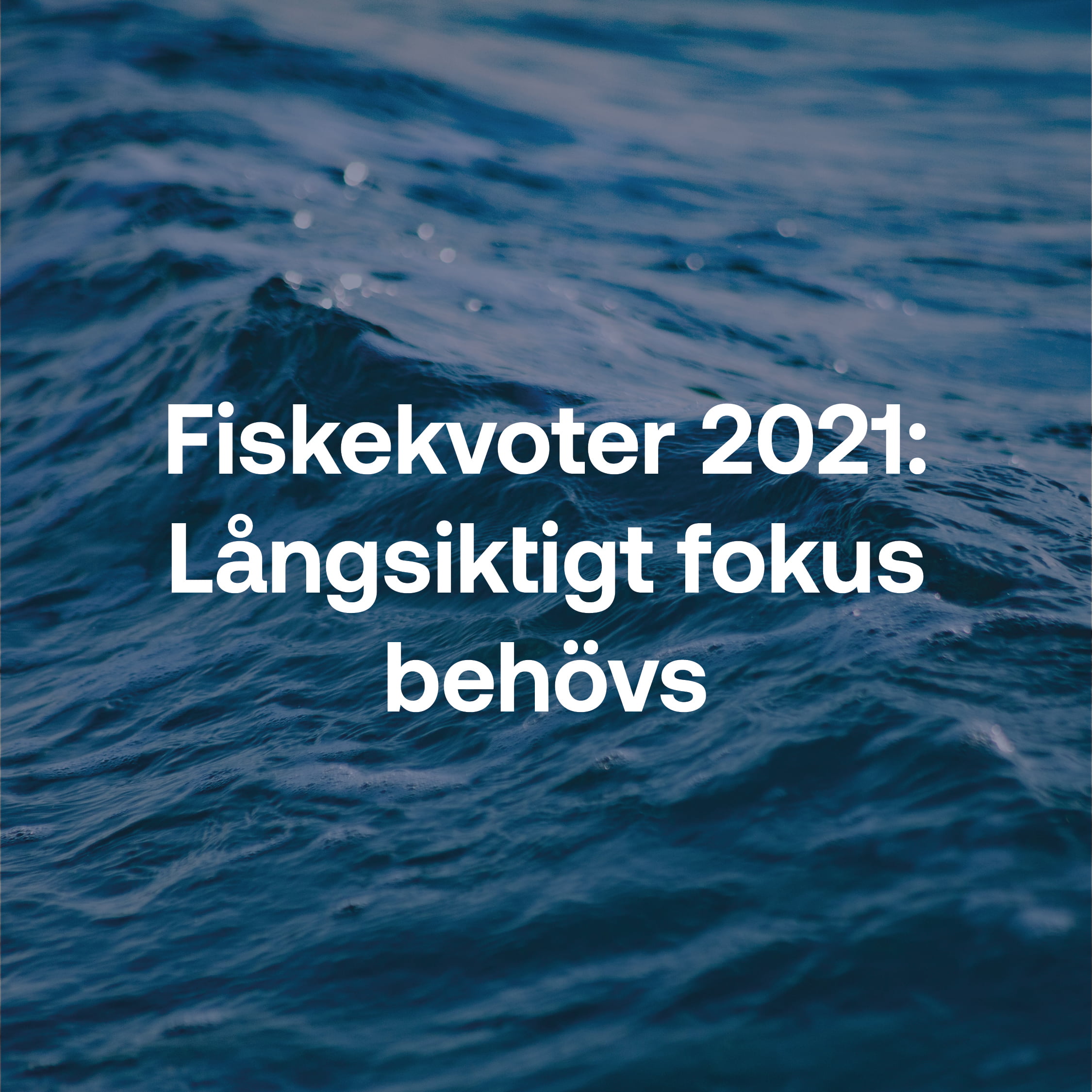 Fiskekvoter 2021: Långsiktigt fokus behövs.