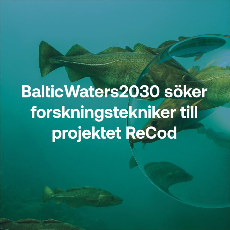 BalticWaters2030 söker forskningstekniker till projektet ReCod.