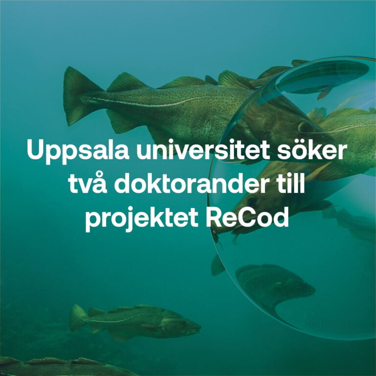 Uppsala universitet söker två doktorander till projektet ReCod.
