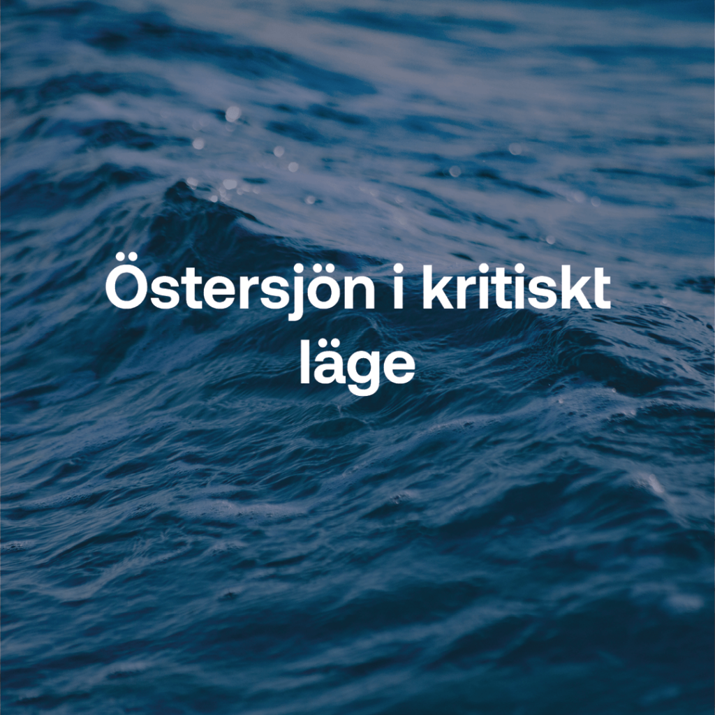Östersjön i kritiskt läge.