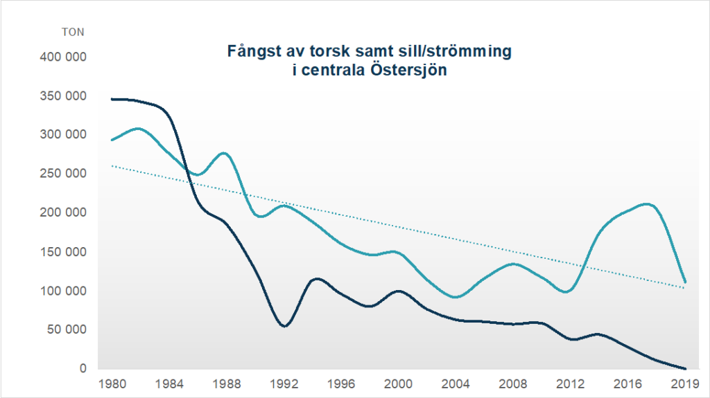 Fångster av torsk samt sill/strömming i centrala Östersjön.